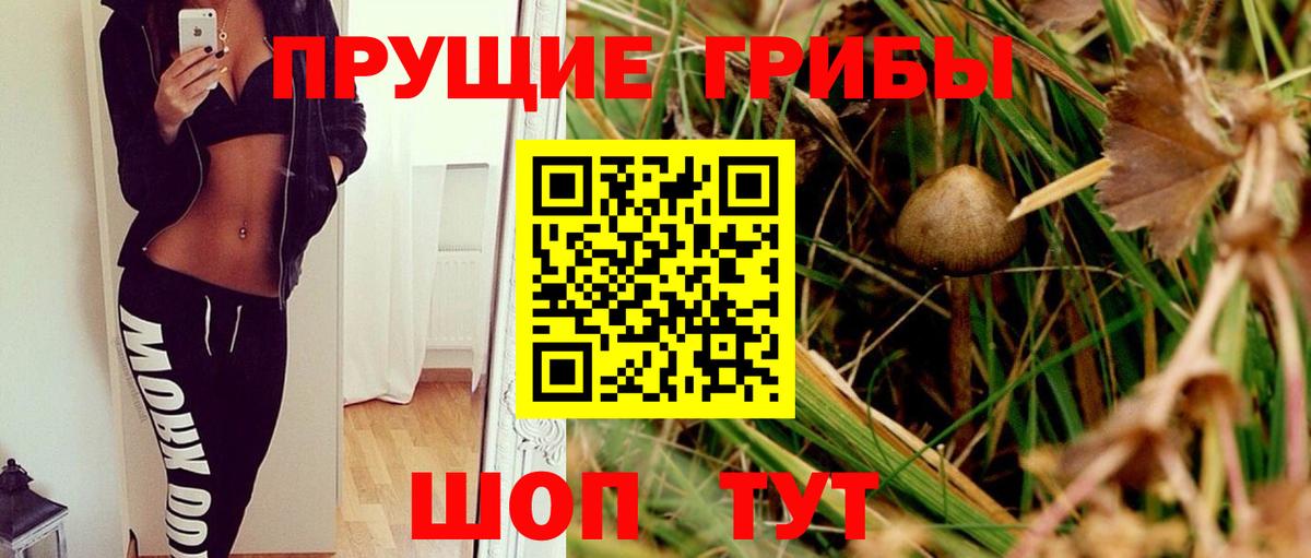 Галлюциногенные грибы мицелий  Вход с VPN  Галлюциногенные грибы прущие грибы  Ноябрьск 
